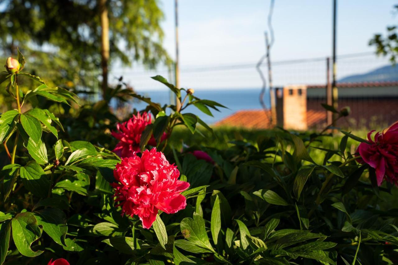 Apartment Stella Marina Rabac Ngoại thất bức ảnh